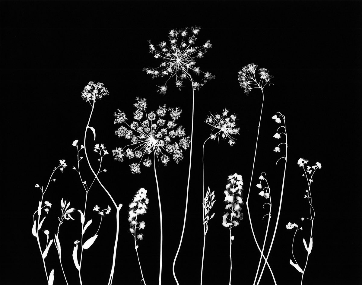 Jo Thomson 