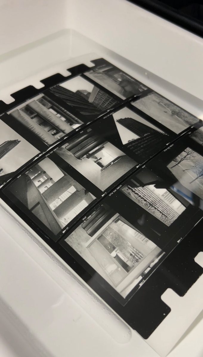 Black and white contact sheet