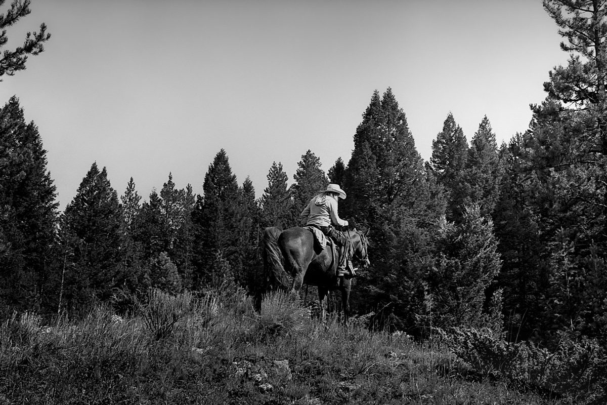Black and white landscape image with a cowboy riding a horse