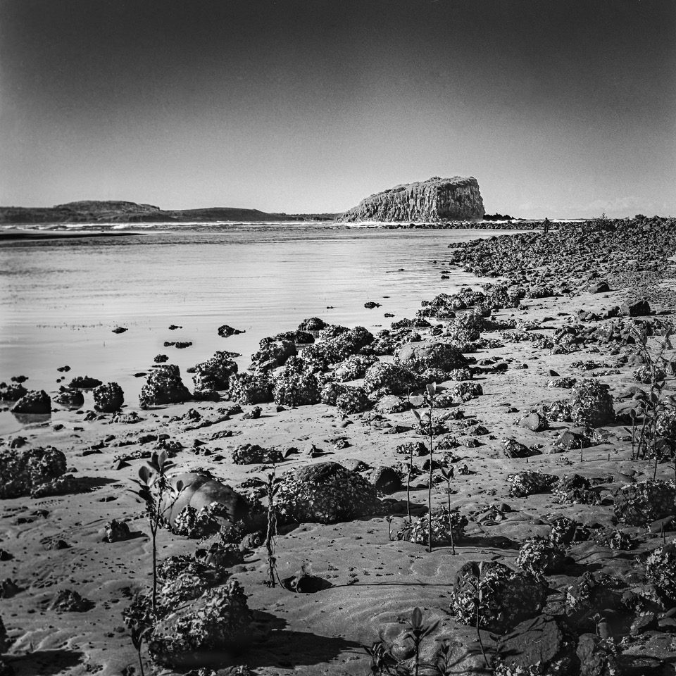 Black and white picture of the beach