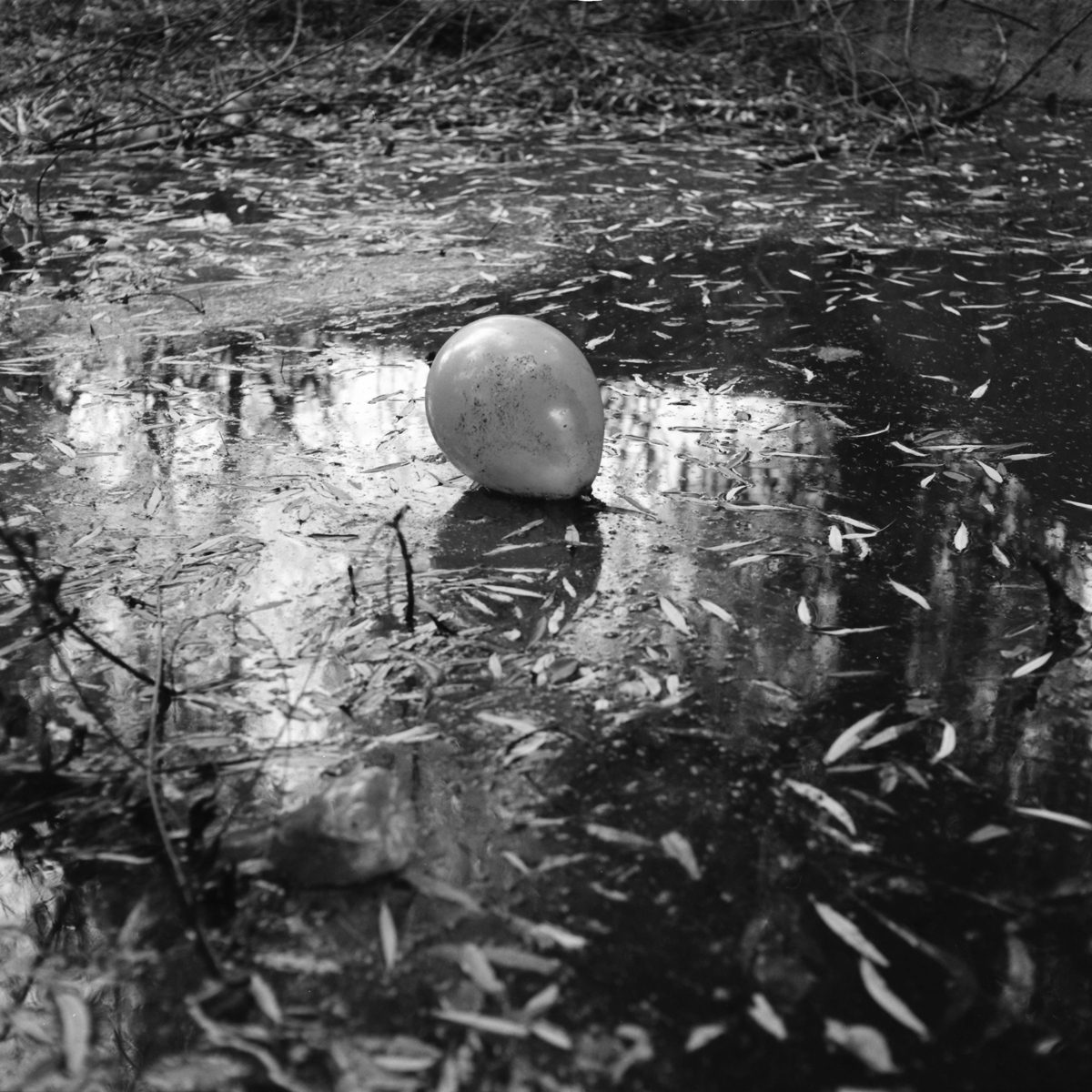 Black and white balloon