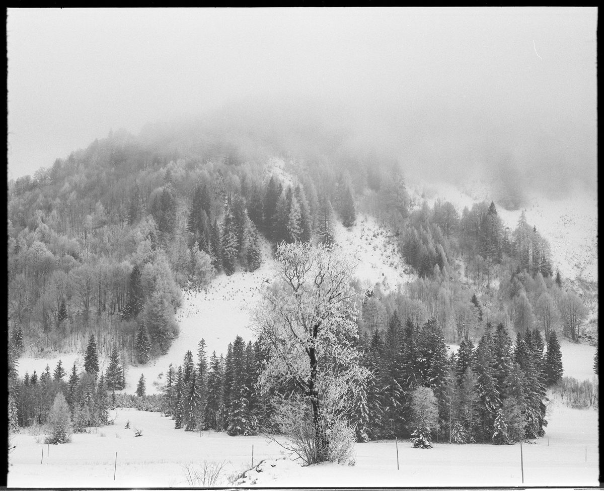 Black and white snow landscape shot