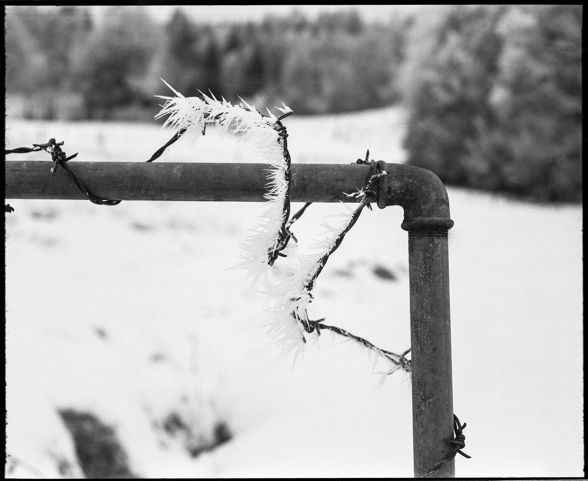 Black and white ice shot