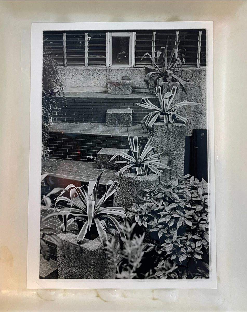 Darkroom print
