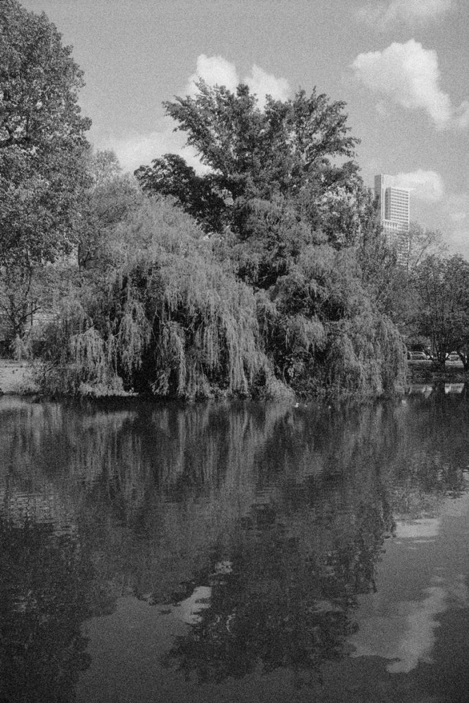 Landscape shot