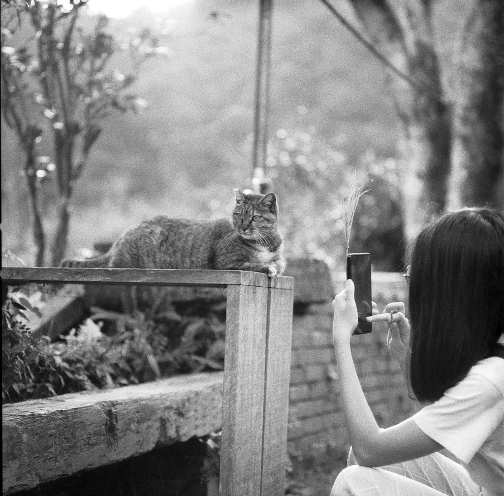 Black and white picture of a woman taking a picture of a cat