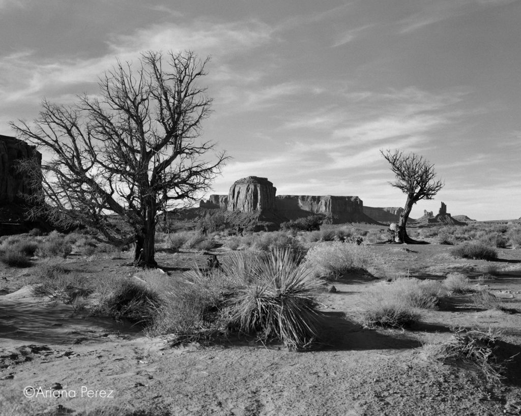 Black and white landscape shot
