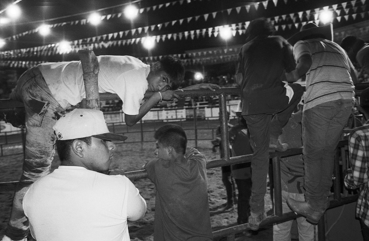 Bull riding