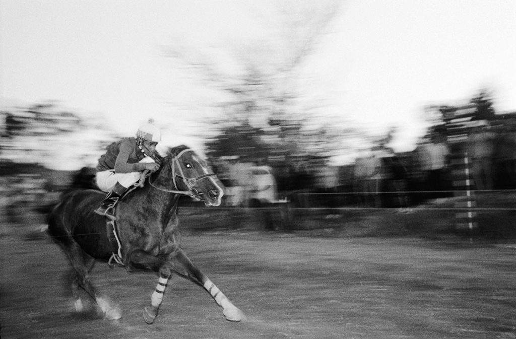 horse riding