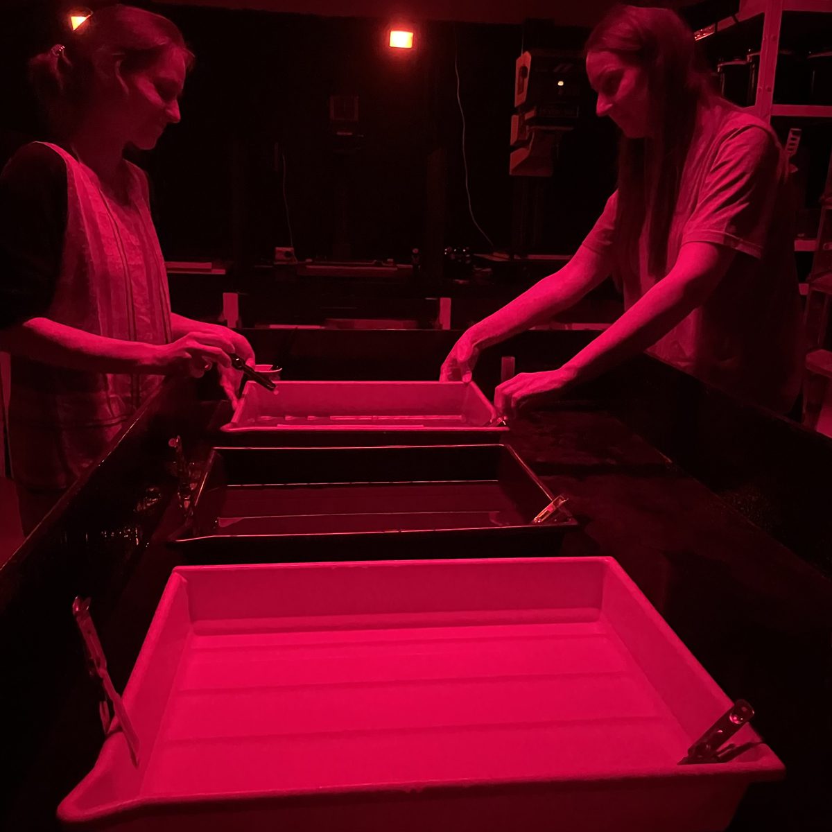 Darkroom at Cyan Darkroom