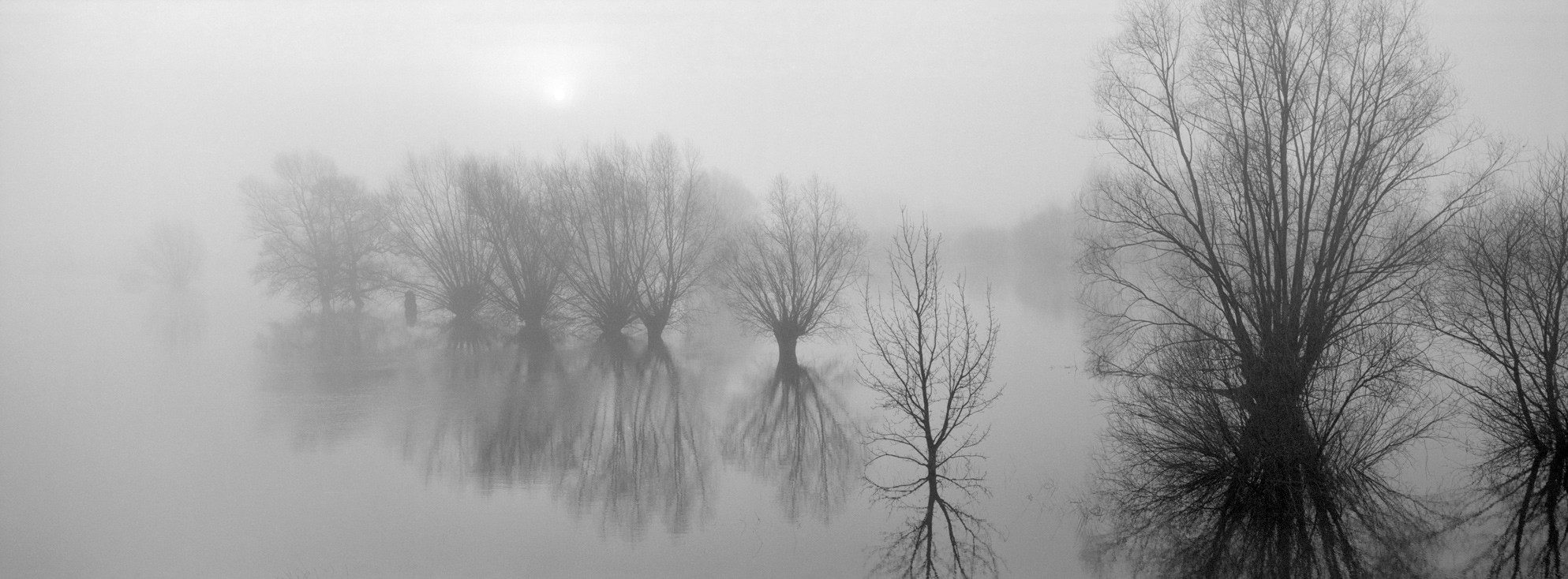 ‪Mikołaj Połoczański‬ ‪@mikuldo.bsky.social‬ · 11h Sunrise over the floodplain of Vistula River II. Hasselblad xpan II+45/4; Ilford xp2 super. #ilfordphoto @ilfordphoto.com @ilfordphoto.bsky.social #fridayfavourites #ilfordxp2 #Hasselbladxpan #xpan #analog #panophotos #shootonfilm #beliveinfilm #bnwphotography #analogcommunity #polskapanoramiczna