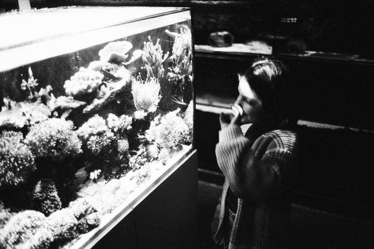 Fish tank Shot by Justin Lockey on ILFORD film for In Focus interview