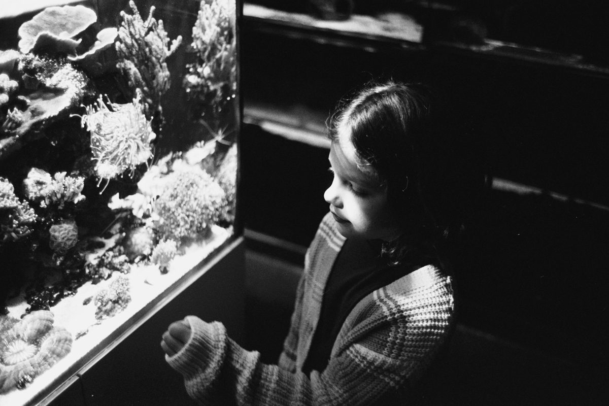 Fish tank Shot by Justin Lockey on ILFORD film for In Focus interview