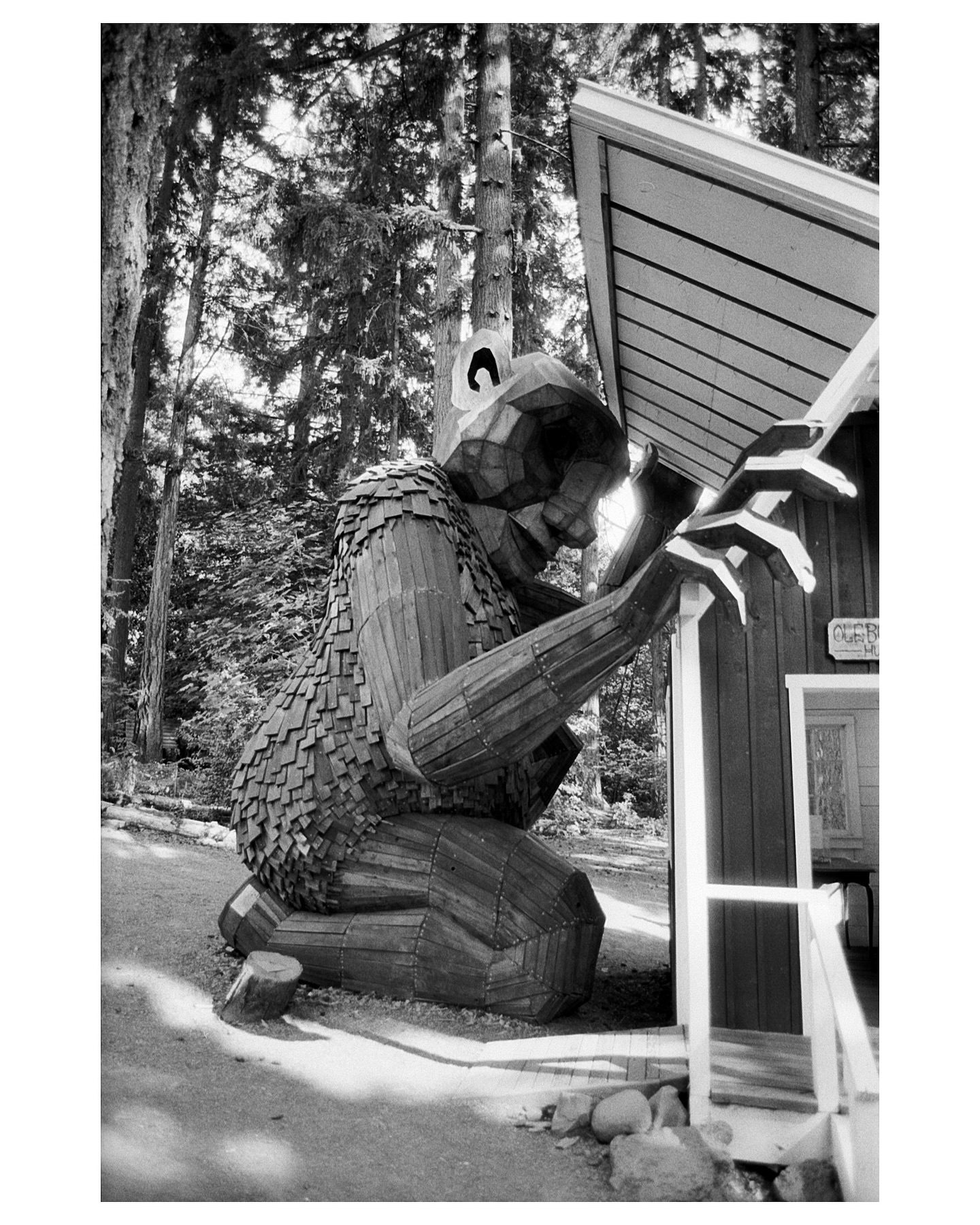 steez.41• Oregon Liked by robertsdistributors and 50 others If elf on a shelf isn’t getting your kids to behave during the holidays, this seems like a logical next step. 🎞Ilford Ortho Plus 80 📷Nikon FM2n, 50mm f1.8 AI-S, 24mm f2.8 AF-D 🧪Ilfotec DD-X 1+4 #ilfordphoto #fridayfavourites #ilfordorthoplus #analog
