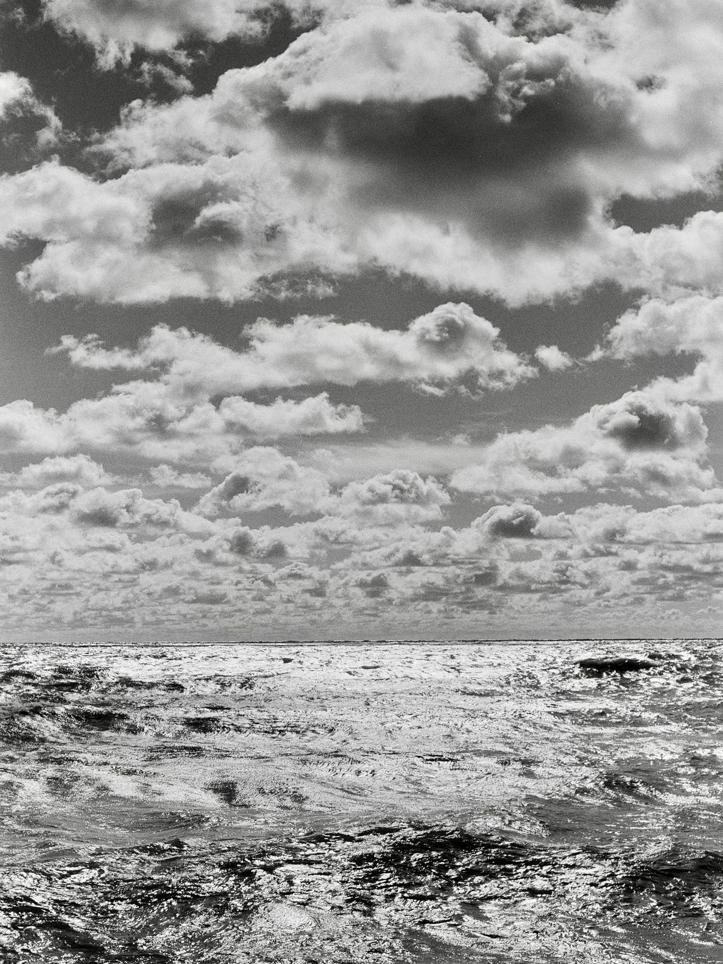leicalove1966• Oakville Lakeshore 30 likes September Clouds, in Canada. Oakville shores of Lake Ontario. Camera: 1966 Leica M4, Summilux 50 Film: Ilford PanF 50 #fridayfavourites #ilfordfilm #ilfordphoto #ilfordpanf50 #shotwithpanf #leicafilmfriday #leica_camera #leicafilmfriends #septemberclouds #cloudsphotography #lakeontariophotography #oakvillephotographer #blackandwhitefilm #blackandwhitefilmphotography #visitoakville #littleboxes