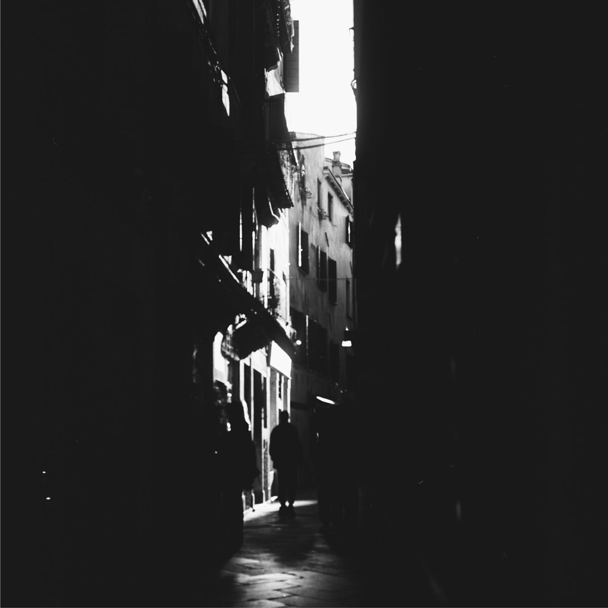 Favourite Image from Justin Lockey