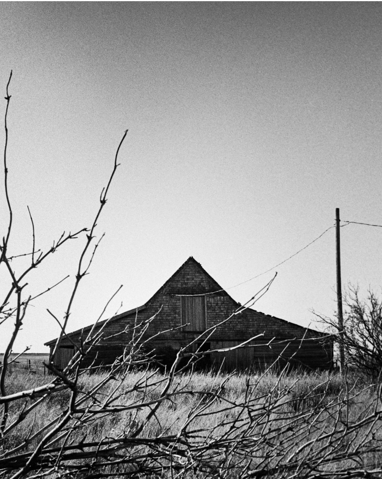 schattenyyc fridayfavorites 10/04/25 Prairie fall HP5 @ilfordphoto #fridayfavourites #fallfilm