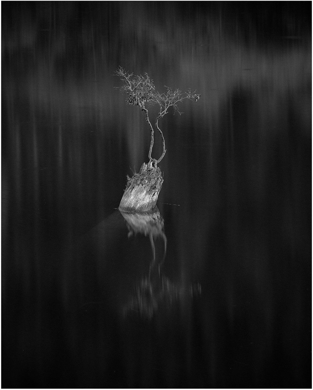 Greg Juhasz @greg-juhasz.bsky.social · 9d Never to return The fairy tree of Silver Lake, has since been destroyed. Ilford FP4+, Mamiya RZ67 @ilfordphoto.com #fridayfavourites #fallfilm #bnw #believeinfilm #filmisnotdead #photography #canada