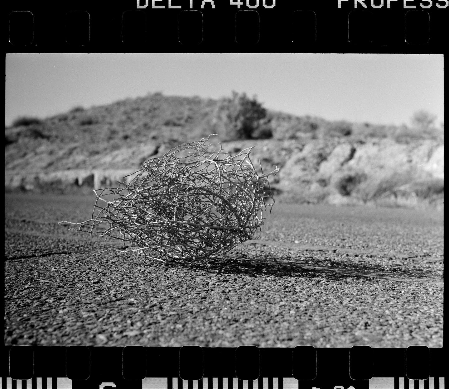 eddie.l.gonzalez• 26 likes Tumbleweed Connection 📷: Leica IIIC w/ Summitar 50mm 🎞️: @ilfordphoto Delta 400 🧪: @midwestfilmcompany . . . . . #ilfordphoto #blackandwhitephotography #leica #leicacamerausa #35mmfilmphotography #barnackleica #ilforddelta400 #newmexico #fridayfavourites 5d