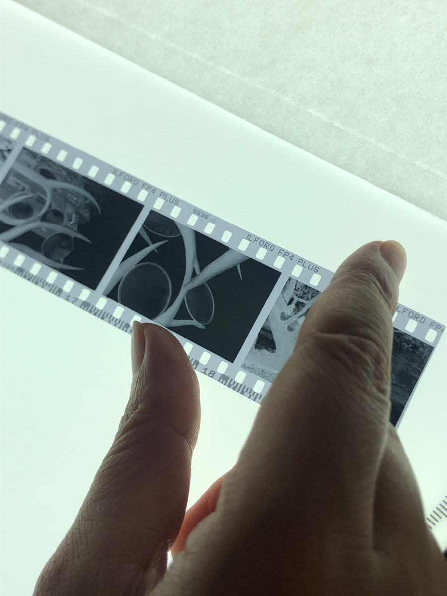 Community Focus - Analog Club Amsterdam