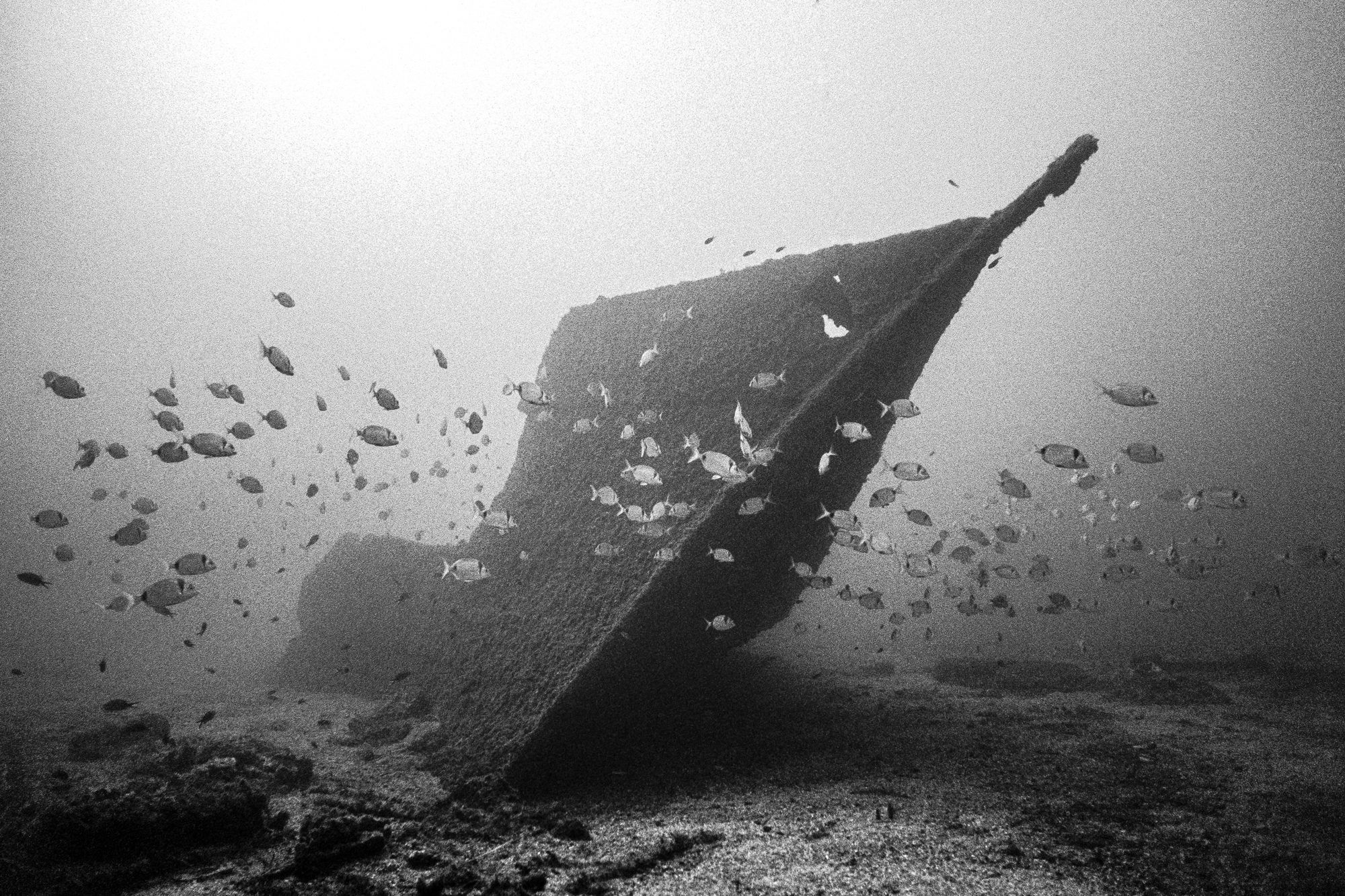 The picturesque “Marcel” wreck under winter light, Hyères bay, France Nikonos V + 15 mm lens, Ilford Delta 400 (pushed 1 stop).