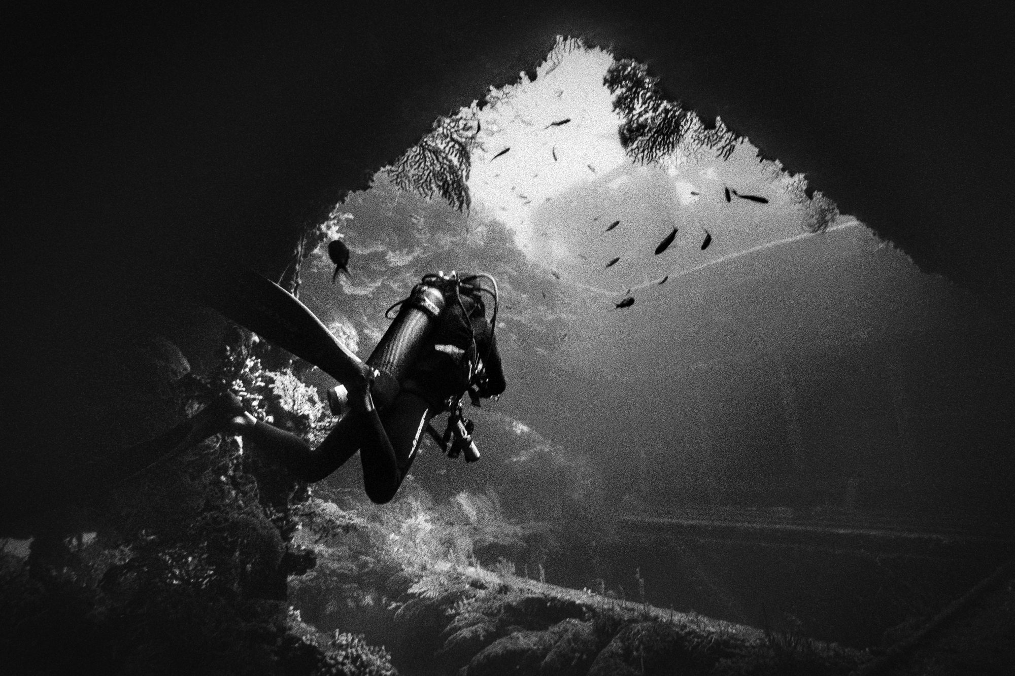 Frank inside the Donator wreck (-45m), Port-Cros, France. Nikonos V + 15 mm lens, Ilford Delta 400 (pushed 1 stop).