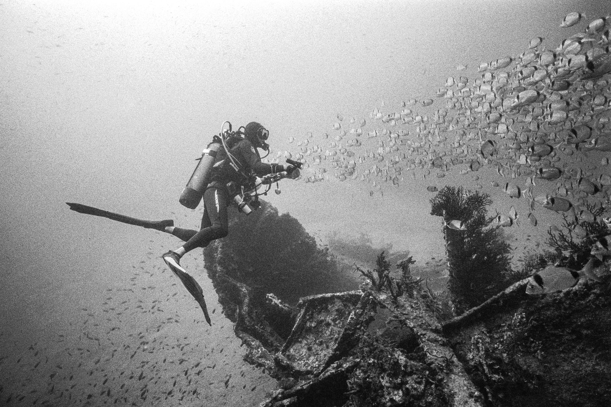Frank’s private tour of the Donator wreck (-47m) — Port-Cros, France.Nikonos V + 15 mm lens, Ilford Delta 400 (pushed 1 stop). 