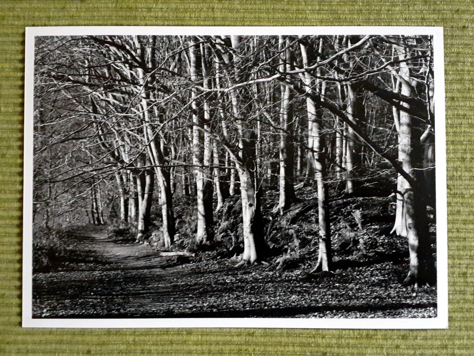 Phil Walker @philwalker.bsky.social · 3h #fridayfavourites #believeinfilm #monochrome #darkroom Hello @ilfordphoto.com - you were encouraging entries yesterday.The following Ilford products were used: HP5+ pushed 1 stop. DD-X. Ilfotol in film washing. MG RC V paper. Multigrade developer. Ilfostop. Rapid fixer.