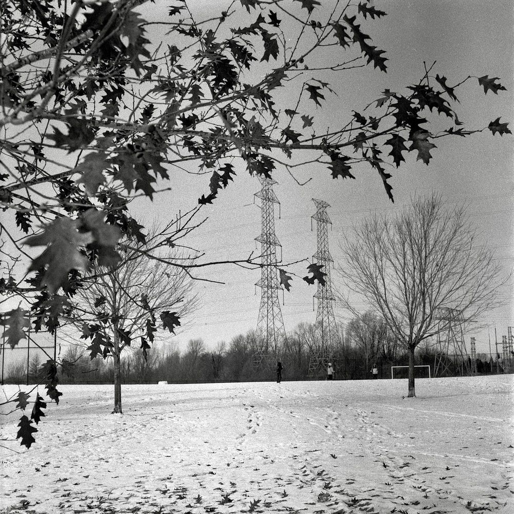 @frozen-f8.bsky.social· 6d Another Tree 📷 Mamiya C330 🔘 Mamiya Sekor TLR 80mm f2.8 🎞️ Kentmere 400 ⚗️ Blazinal (1+25) #believeinfilm #filmphotography #LunchBreakPhotos #Ottawa #MamiyaC330 #MamiyaSekorTLR80mm #Kentmere400 #fridayfavourites