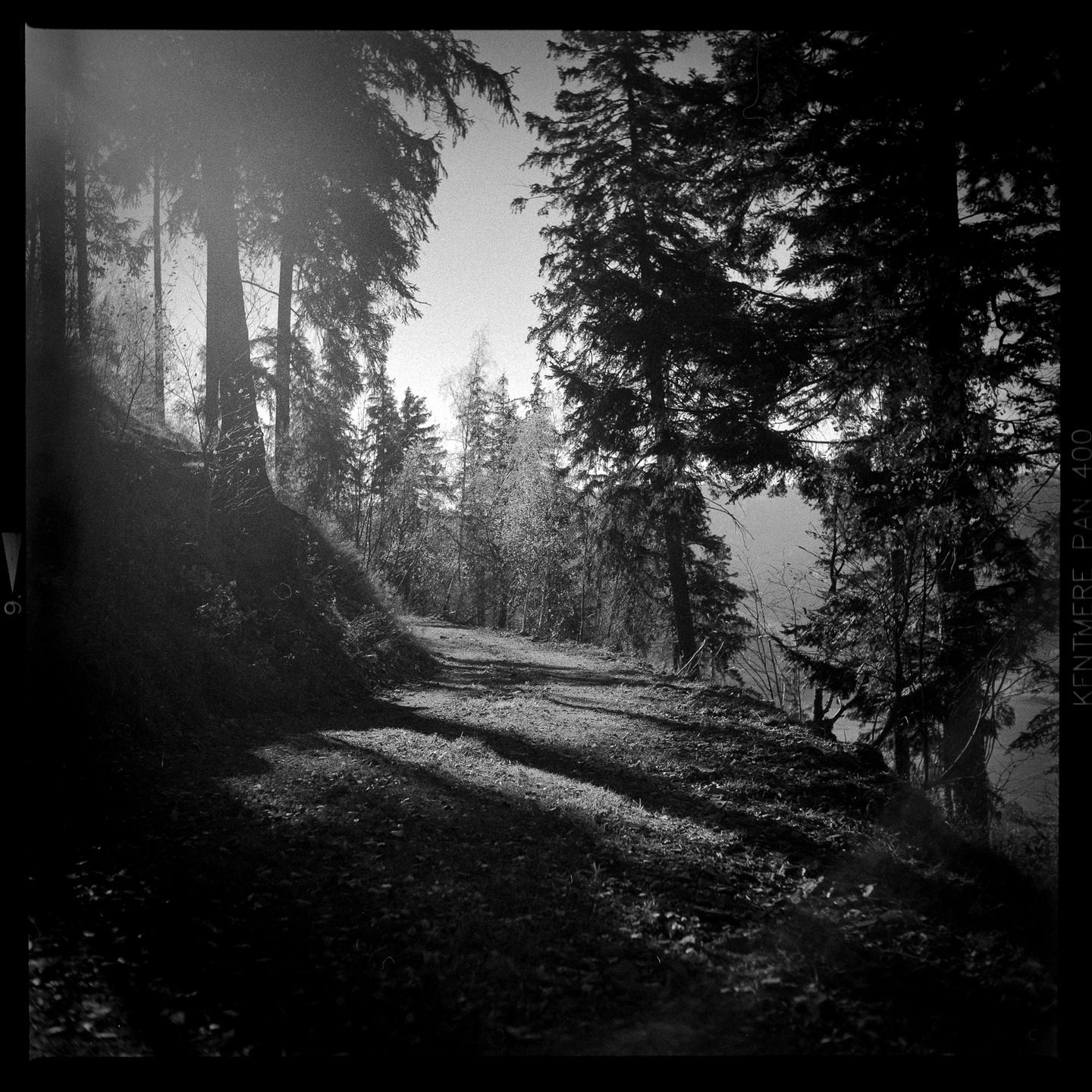 romain.analog• Święta Góra, Lubawka 7 likes When they say light is everything in photography. #rolleiflex #ilfordfilm #fridayfavourites #kentmere400 #filmisnotdead #120film #mediumformatfilm #analogphotography #rolleiflex #filmcommunity #shootfilmstaybroke