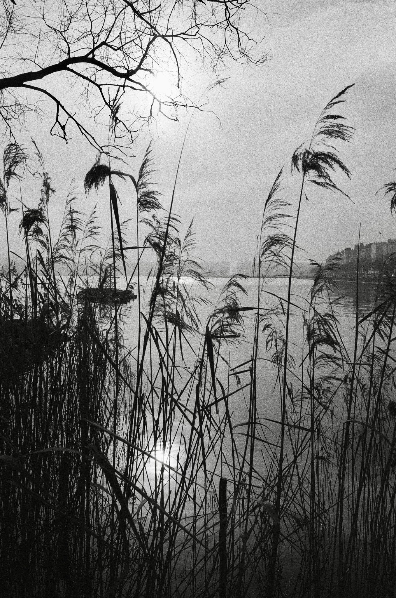 @kieronbeardpho1Similar to my last photo but this one of lake Geneva was taken on Leica M6 28mm using Kentmere 400 #fridayfavourites #filmphotographers