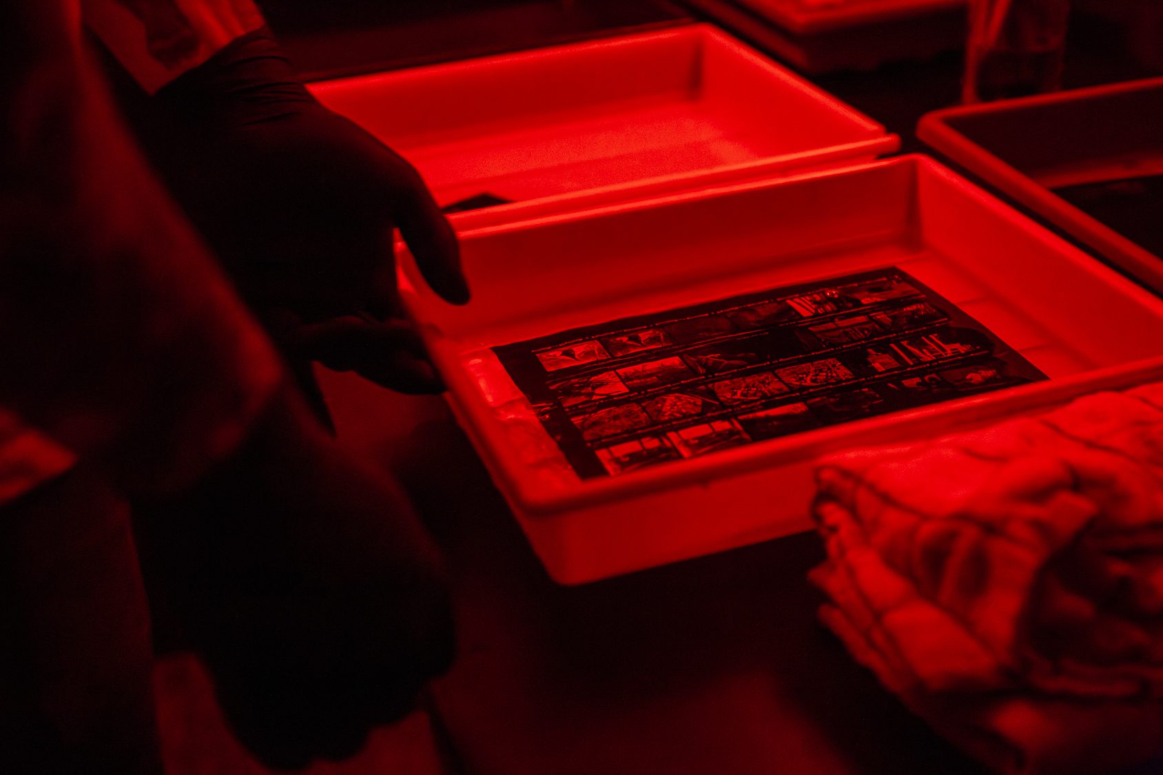 Contact sheet being developed at Negative Development community darkroom