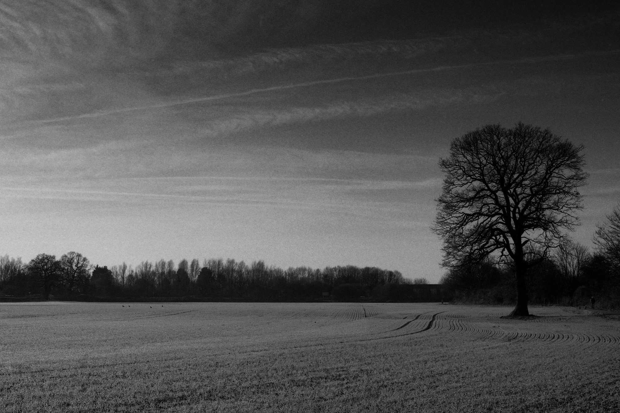 philbixby.bsky.social‬ ‪@philbixby.bsky.social‬ · 27m Winter textures B&W photography on film 📷 Nikon F4 🎞️ Ilford Delta Pro 400 #believeinfilm #fridayfavourites #ilfordphoto