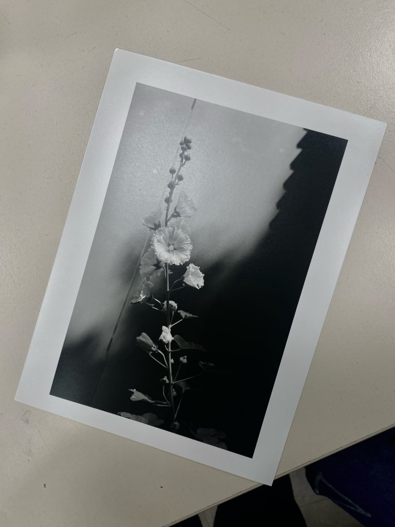stargazinqly • Liked by ilfordphoto and 164 others one of the first darkroom prints i made in paris 🥚 taken in 上野 juin, 2024 7w So beautiful 🤍🖤 4wReply #ilfordphoto #fridayfavourites #ilfordhp5 #ilfordmultigrade #darkroomprint #darkroomphotography #35mm