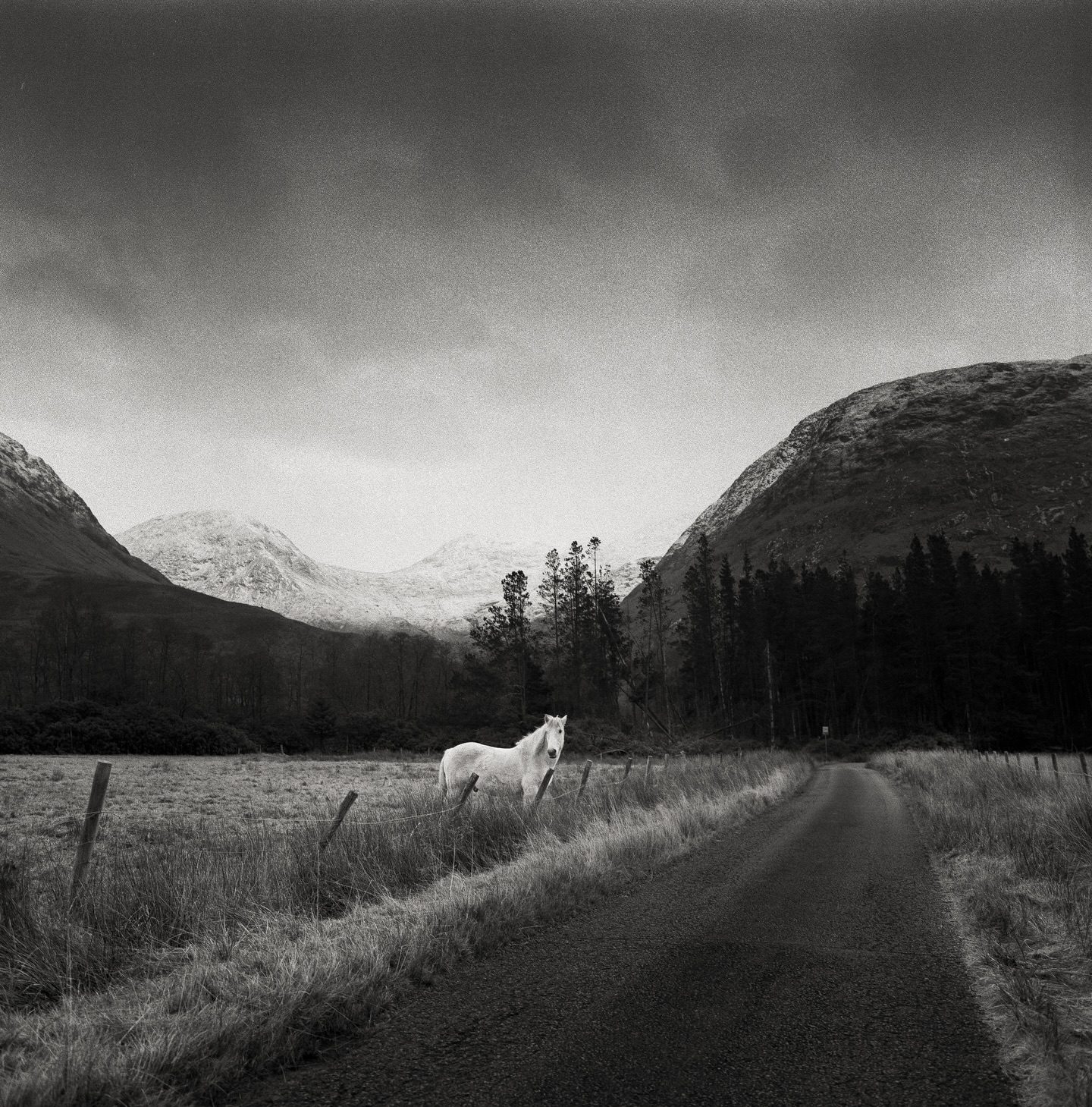 grainy_waves• Glen Etive Liked by hannahjuliettephotography and others Glen Etive road Hasselblad 501 cm . Hp5 . Rodinal #hasselblad500cm #filmphotomag #2025fave #filmphotography #ilfordfilm #shootitwithfilm