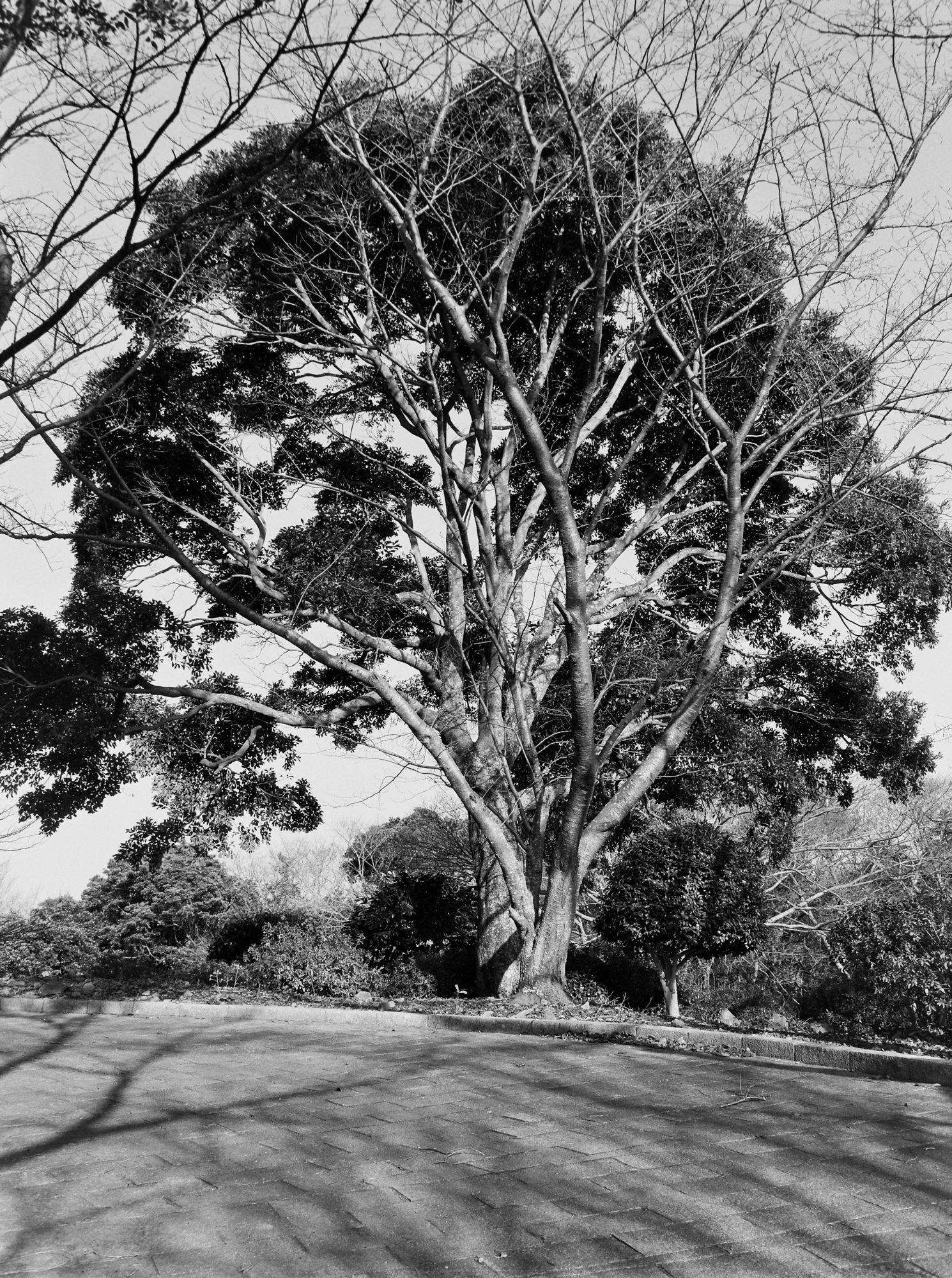 @V0NPhoto📷 Mamiya 645 Pro 🎞️ Kentmere Pan 400 #ilfordphoto #fridayfavourites