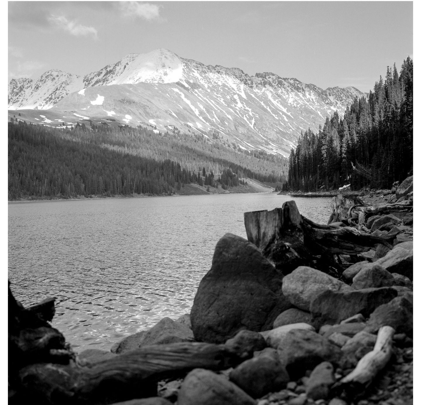 steez.41 • Colorado Mid-summer, but like, higher up. 🎞️ Ilford Pan F Plus 50 📷 Bronica S2a, 75mm f2.8 🧪 X-Tol (replenished) #ilfordphoto #ilfordpanf50 #fridayfavourites #bronicas2 #bronicas2a