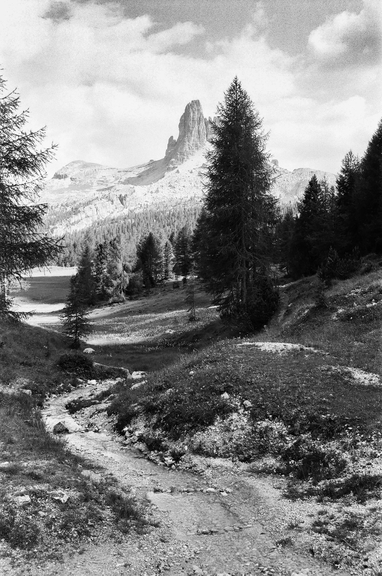 How I got this picture - Jerzy Jarczewski