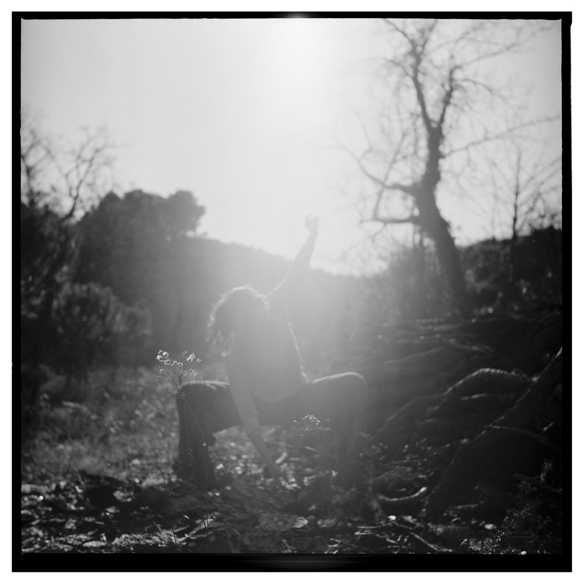 Yashica-635---XP2-at-800-iso-@mei_sarral