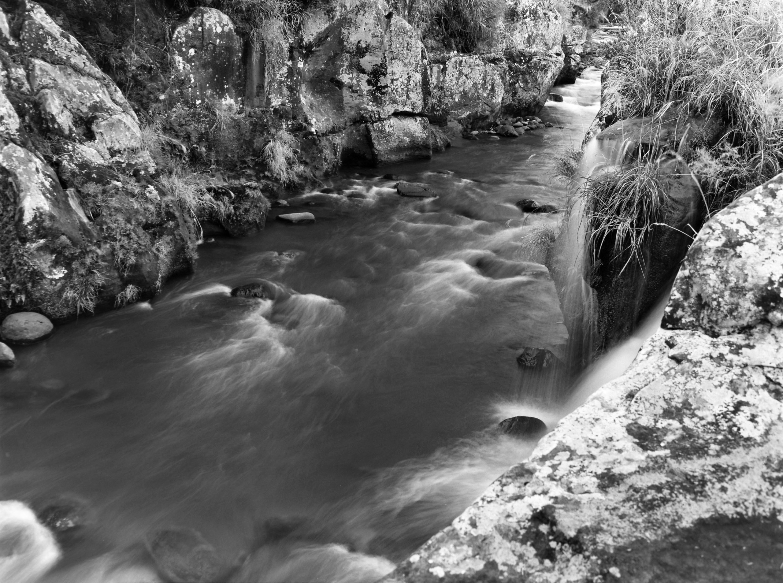 VØNPhoto @V0NPhoto 📷 Mamiya 645 Pro 🎞️ Kentmere Pan 100 #ilfordphoto #kentmere #fridayfavourites