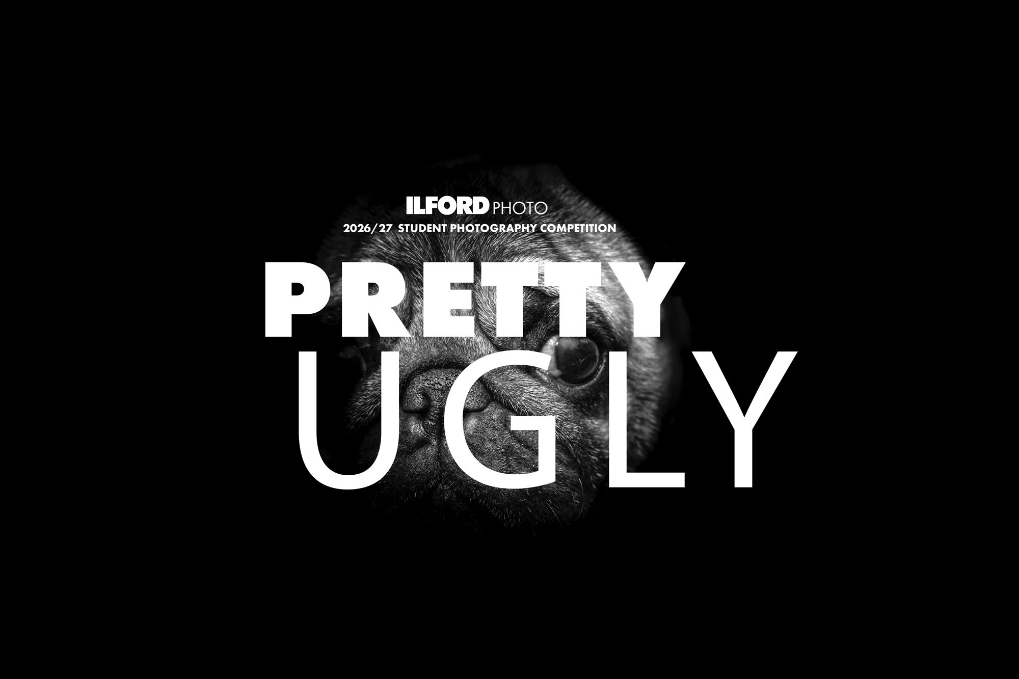 Featured image for Pretty Ugly student competition
