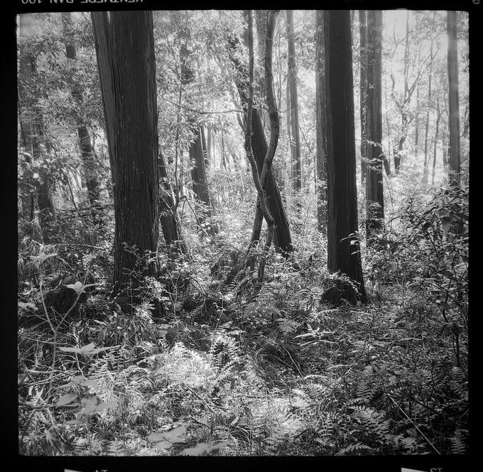 @Kirigir77434381· Apr 16 #ilfordphoto #fridayfavourites Super Fujica-6, Kentmere pan100, Spur Silversalt, Super Fuji fix