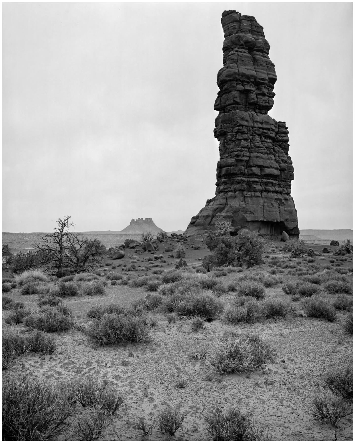 analog_survives Canyonlands National Park, Utah Morning in Canyonlands... . PanF Plus 50 in 4x5 is finally here! Thank you to Ilford for reaching out and allowing me to test out this new 4x5 film. This film will find a place in my LF camera bag next to Delta 100. . ¬¬¬¬¬¬¬¬¬¬¬¬¬¬¬¬¬¬¬¬¬¬ Camera // Chamonix 45F-2 Lens // Nikkor SW 120mm f/8 Film // Ilford PanF Plus 50 4x5 Exposure // f/32 6 sec : no filter Dev // 510-Pyro 1:200 @ 16:30 min (N+1) Scan // Canon 9000F/Vuescan/SmartConvert ¬¬¬¬¬¬¬¬¬¬¬¬¬¬¬¬¬¬¬¬¬¬ #panfshots #fridayfavourites #zonesystem #chamonixviewcamera #zebradaylightprocessingtank